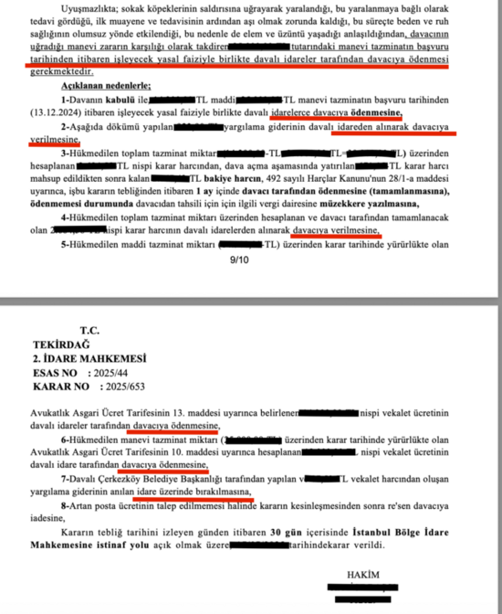 Kopek Davasi Emsal Karar