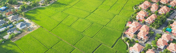 öncelikli alım hakkı - Tapuda düşük bedel göstermek